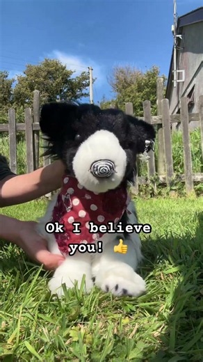 Essa stands for Emotional support stuffed animal #essa #emotionalsupportstuffedanimal