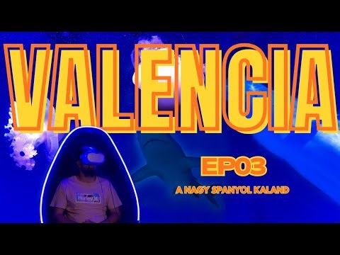 A Nagy Spanyol Kaland! - Harmadik epizód: Valencia 3.nap #valencia #spain #vlog #oceanography