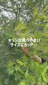 23K views · 777 reactions | \ どのコースを体験する？/...