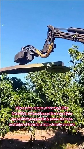 ULTRA FAST Orchard Pruning! 🤯 Automatic Tree Topping Machine in Action #tree #orchid #farming #farm