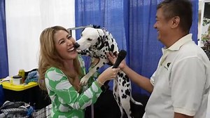Meet a lot of locals and their pets at the Pet Expo on The Pet Hui, tonight at 9:00 PM. #spectrumoc16 #thepethui | Spectrum OC16 TV