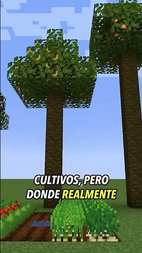 Mods En 1 Minuto - CropTopia
