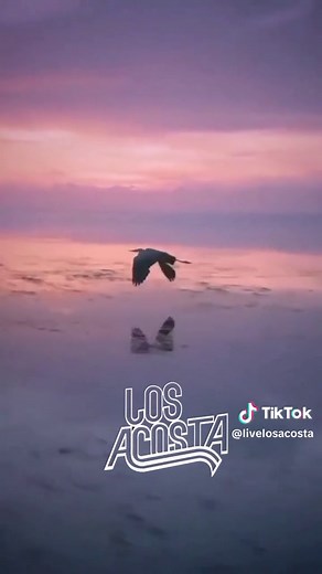 Los Acosta: Como Un Pajarillo Karaoke