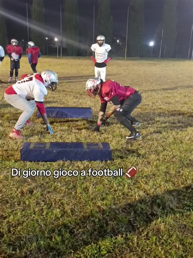 Rubo le galline 🐓