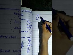 Vascular Development, Aortic arches\n#CVS #Embrology