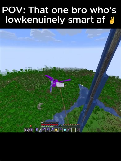 POV: That one bro who's lowkenuinely smart af ✌ #funny #friends #bro #minecraftmemes #minecraftfunny #unstablesmp #wemmbu