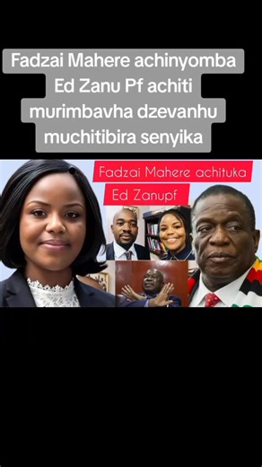 Fadzai Mahere Roasts Zanu PF, Accusing Them of Stealing from the People