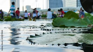 Blurred people and water-lily pond on the foreground near Marina Bay Sands ArtScience Museum, Singapore on February 12, 2018. Close up, shallow depth of field.