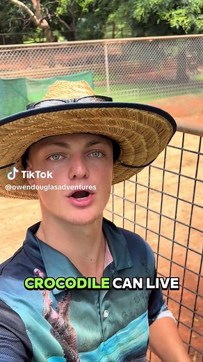 Understanding Saltwater Crocodiles: Water Needs Explained