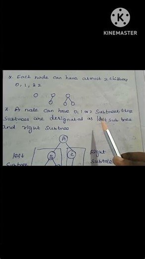 What is binary tree? in tamil #shorts, #sscomputerstudies, #c , #computer , #videos , #binarytree