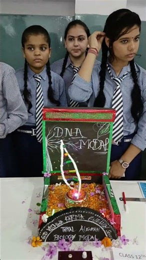 DNA Working Model Science model class 12