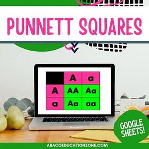 Punnett Squares Digital Google Sheetsᵀᴹ Activity