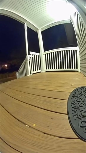 Neighbor’s package taken by a raccoon | Media Vault | Facebook