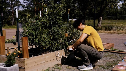 Ever wondered what’s happening beneath your feet? 🌱 CU Boulder Engineering is developing new sensors that live underground to ‘listen’ to soil. By measuring temperature, moisture, and oxygen, the tech can estimate nitrous-oxide emissions as they happen. That means smarter fertilizer use, less waste, and a smaller climate footprint. Learn more about this research ↓ https://bit.ly/4rcT3MI | University of Colorado Boulder