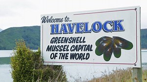 52K views · 638 reactions | The Heart of Havelock: To understand what makes the town tick, we asked those who know it best... | Aquaculture New Zealand | Facebook