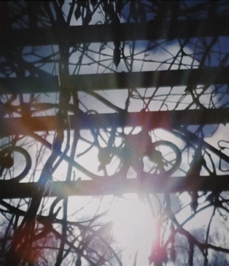 #digicam #2000s #nostalgia #digitalcamera #winter