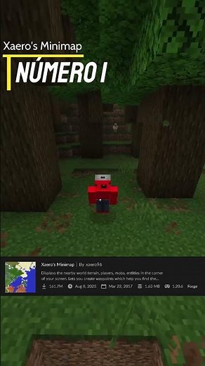 A MINIMAP in Minecraft