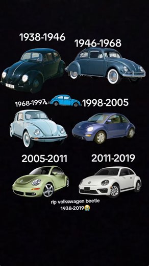 Evolution of Volkswagen beetle
