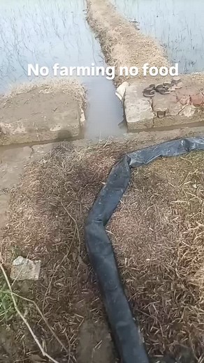 Anjit Rohaj on Reels