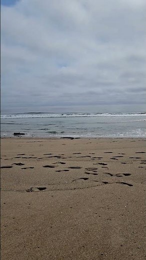 Salisbury Beach Massachusetts #seashells #relaxing #sand #cozycamping
