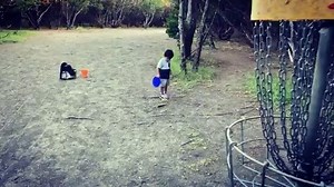 We count SIX amazing putts from this little guy (the 6th putt is our favorite)! Did you know that the current 10 and younger U.S. Junior Champion putts exclusively with a forehand? Now you do! #kidsdiscgolf #discgolf | Kids Disc Golf