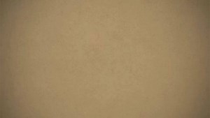 Excelentes vestidos, excelentes precios. Ven y compruebalo | Claires Collection | Facebook