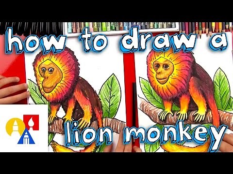 How To Draw A Golden Lion Monkey