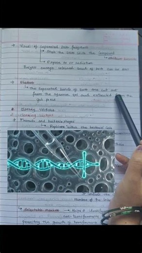 What is Elusion / Biotechnology Principle and Processes Class 12 Biology Notes