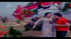 பூ வைத்த பூ வைத்த Video Song | Mattukara Velan | M. G. Ramachandran | Jayalalitha | K. V. Mahadevan | Rajarathinam Muthusami