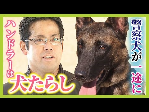 【犬たらしの警察官】警察犬を操る『ハンドラー』は元・水族館スタッフ「どれだけ自分のことを好きになってくれるか...」 大阪の訓練現場に密着！（2025年2月28日）