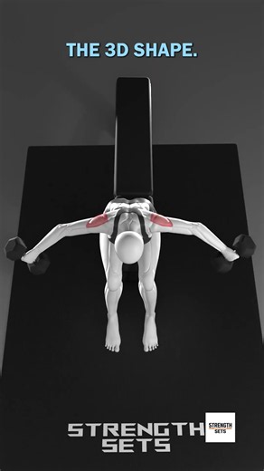 4 Dumbbell Shoulder Exercises: Press, Raise & Fly