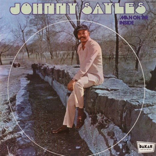 Johnny Sayles - Man On The Inside