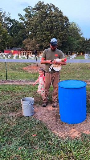 Boss lady giving some orders lol 😂 she wants all her blues / Jhonson powders on one row and pumpkins then reds and a row of warhorses. Boots 🥾. @bruntworkwear Use code BONEYARDFARM10 for $10.00 off your purchase. #gallera #gamefowlprincess #boneyardfarm | Boneyard farm
