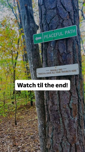 Red River Gorge provides some stunning views! This was a private trail for our cabin we rented! #hiking #nature #airbnb #rental #cabin #vacation #travel #adventure | Then&Now Outdoors