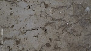 textured old gray concrete background stained with beige stucco with scratches and holes. free space. copy space. vertical move slider. close up. 4k
