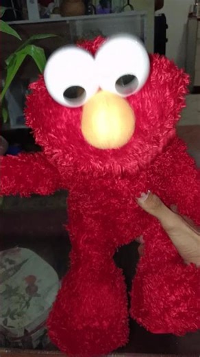 MY NEW SPANISH ELMO LIVE (Elmo en vivo)