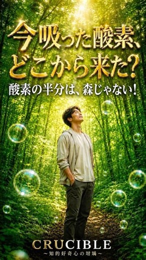 【驚愕】呼吸している酸素の半分は海から？「森」よりもすごい酸素供給源の正体