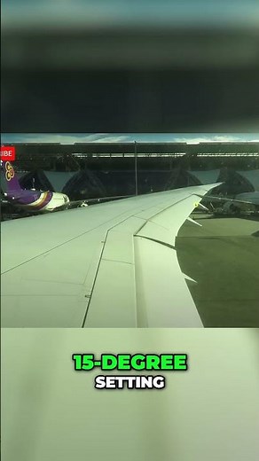 Airplane Flaps: Observe Their Subtle Movements in Flight