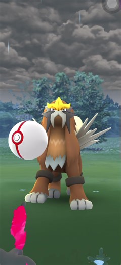 Wow! Shiny Entei in Pokemon Go. #pokemon #shorts #shinypokemon #legendary #fyp #foryou