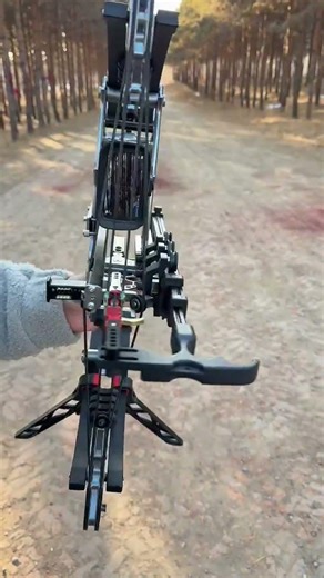 Perfect Shot! 🎯#CompoundBow #BowHunting #ArcheryLife #OutdoorGear #HuntingBow #ArcheryPractice