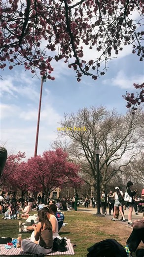 we’re back NY 💕 #williamsburg #brooklyn #nyc #spring #sunshine