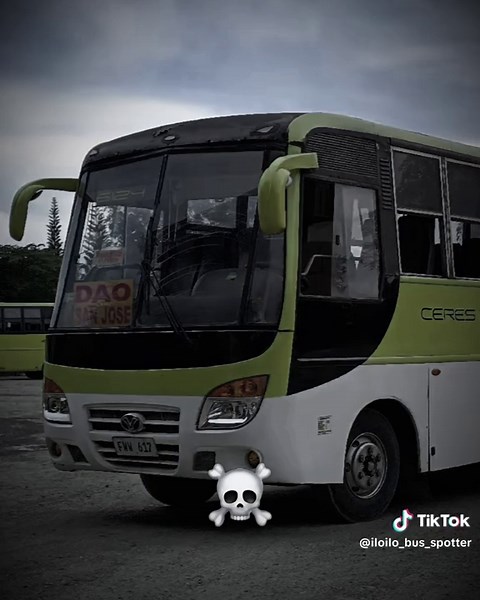 Fastest Bus in Dabo Line: Features and Design Insights