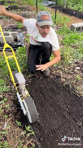 Save Time & Thinning: Planting Carrots with a Jang Seeder
