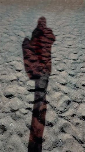 Unleash Your Hidden Talent: Mastering the 30-Second Elevator Pitch