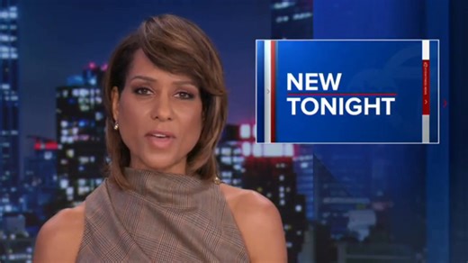 Cold Case Murder once linked to Gilgo Beach serial killings, Suspect arrested. Peaches and her daughter might finally get justice. Is this suspect linked to other LISK cases? #truecrime #gilgobeach #CrimeNews #Lisk #serialkiller | True Crime Garage