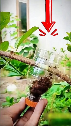 How to do a perfect air elbow 🌱✨