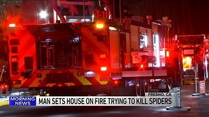 35K views · 185 reactions | This guy hates spiders so much he set his parents’ house on fire trying to kill one | WGN Morning News | Facebook