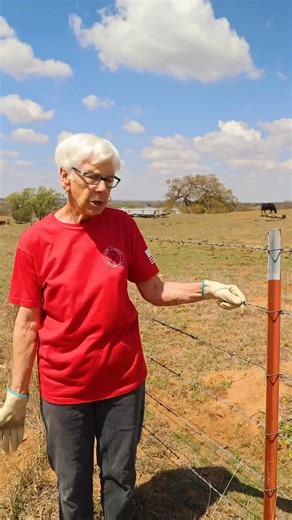 Barbed Wire Fence is essential on the Farm ⛓️🚜 #farm #fence #barbedwire #facts | Granny Bibbins