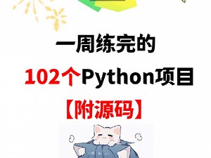 一周练完的102个Python项目，附源码！