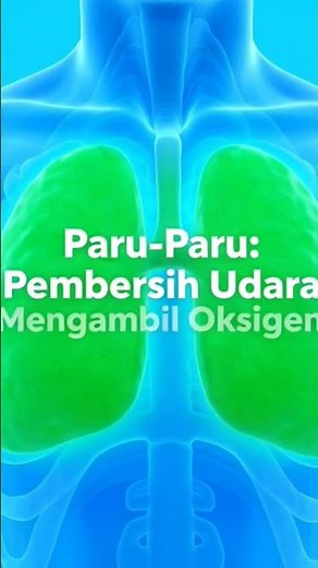 Fungsi Paru-paru